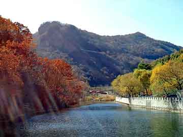 新澳天天开奖资料大全旅游团，学黑帽seo